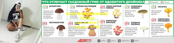 твердый Коряжма