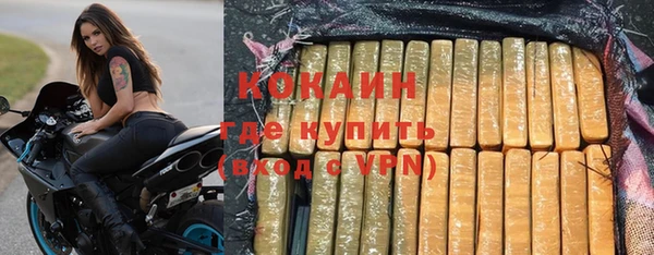 твердый Коряжма