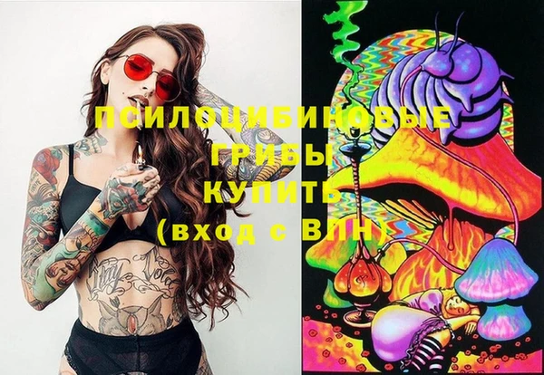 ПСИЛОЦИБИНОВЫЕ ГРИБЫ Костерёво