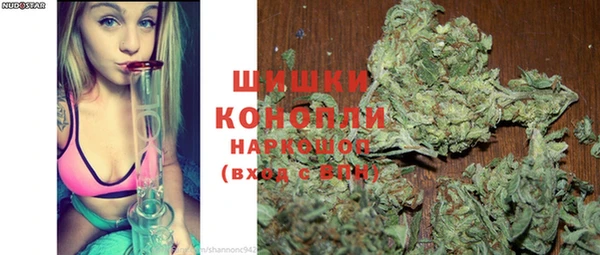 ПСИЛОЦИБИНОВЫЕ ГРИБЫ Костерёво